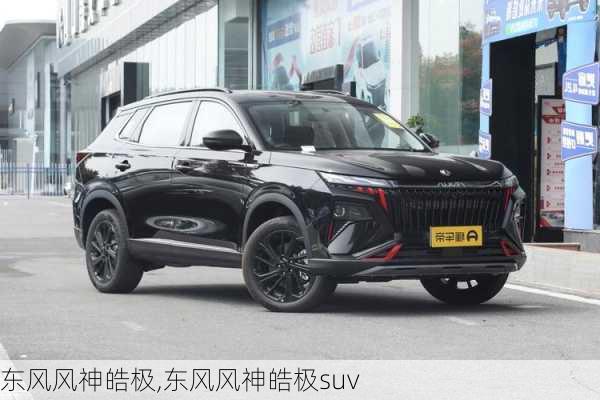 东风风神皓极,东风风神皓极suv