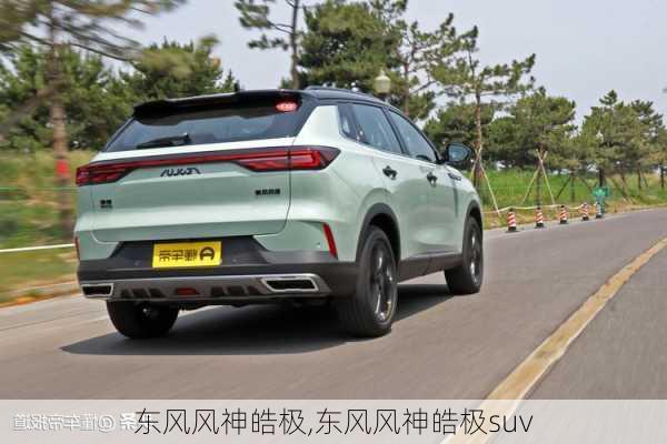 东风风神皓极,东风风神皓极suv