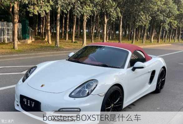 boxsters,BOXSTER是什么车