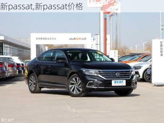 新passat,新passat价格