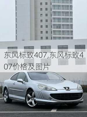 东风标致407,东风标致407价格及图片