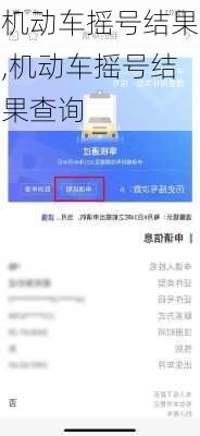 机动车摇号结果,机动车摇号结果查询