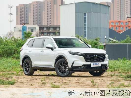 新crv,新crv图片及报价