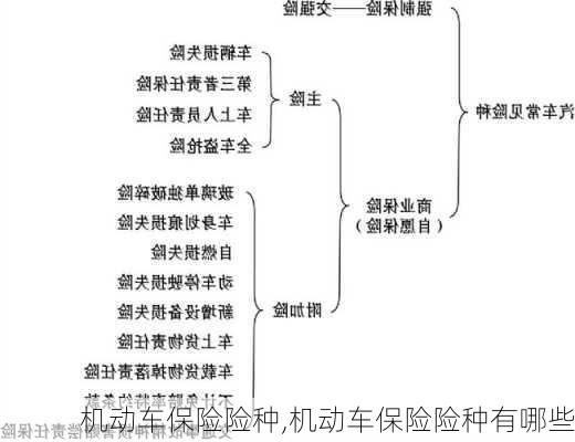 机动车保险险种,机动车保险险种有哪些