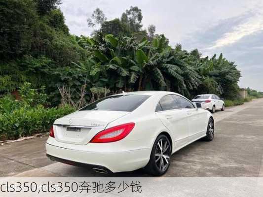 cls350,cls350奔驰多少钱