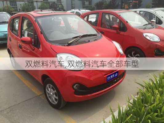 双燃料汽车,双燃料汽车全部车型