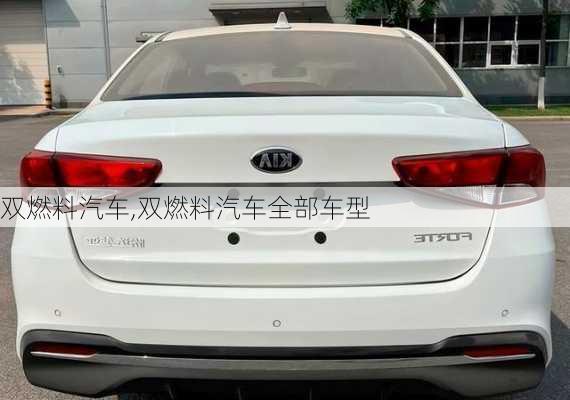 双燃料汽车,双燃料汽车全部车型