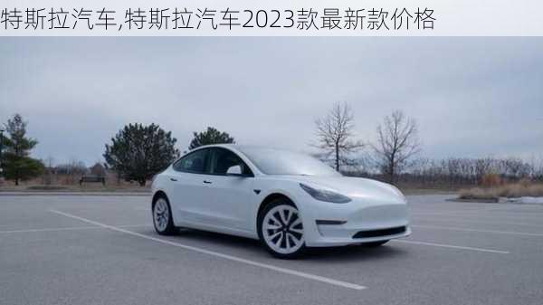 特斯拉汽车,特斯拉汽车2023款最新款价格