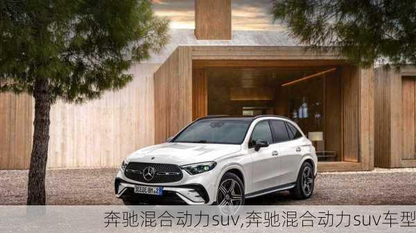 奔驰混合动力suv,奔驰混合动力suv车型