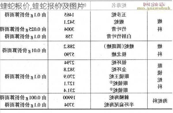 蝰蛇报价,蝰蛇报价及图片