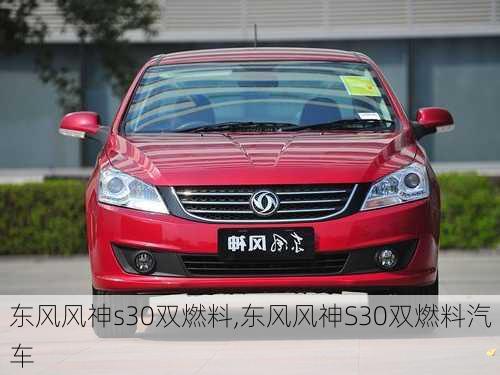 东风风神s30双燃料,东风风神S30双燃料汽车