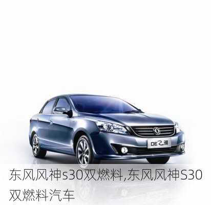 东风风神s30双燃料,东风风神S30双燃料汽车