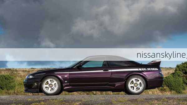 nissanskyline,