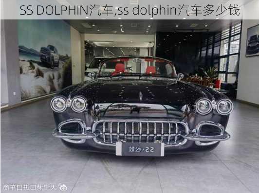 SS DOLPHIN汽车,ss dolphin汽车多少钱