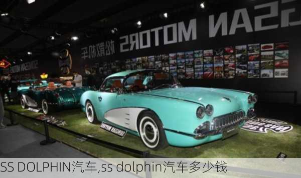 SS DOLPHIN汽车,ss dolphin汽车多少钱