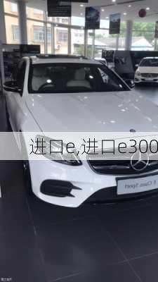 进口e,进口e300