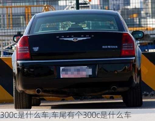 300c是什么车,车尾有个300c是什么车