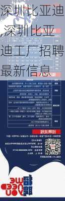 深圳比亚迪,深圳比亚迪工厂招聘最新信息