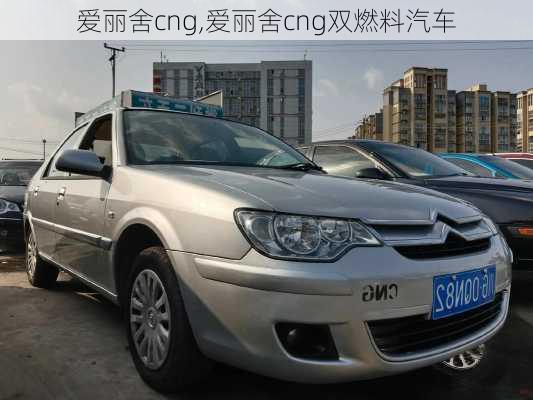 爱丽舍cng,爱丽舍cng双燃料汽车