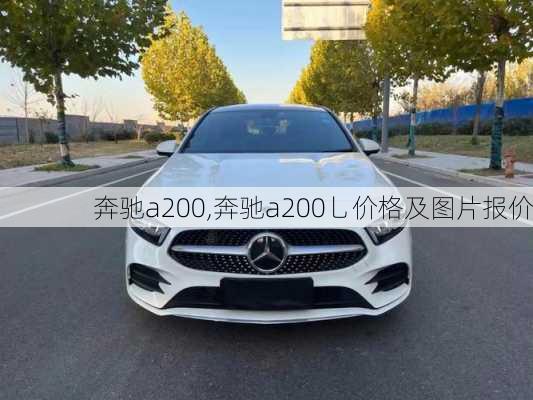 奔驰a200,奔驰a200乚价格及图片报价