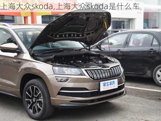 上海大众skoda,上海大众skoda是什么车