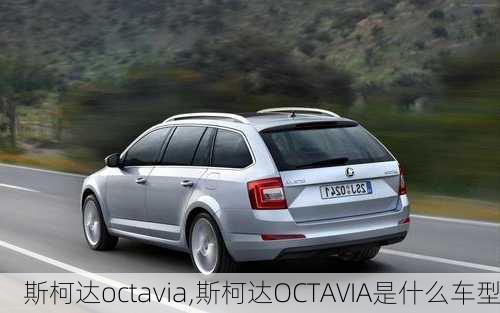 斯柯达octavia,斯柯达OCTAVIA是什么车型