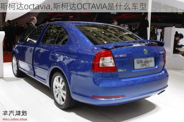 斯柯达octavia,斯柯达OCTAVIA是什么车型