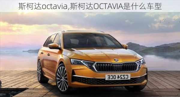 斯柯达octavia,斯柯达OCTAVIA是什么车型