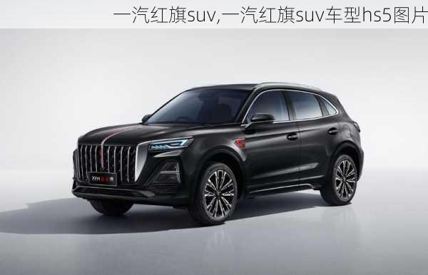 一汽红旗suv,一汽红旗suv车型hs5图片