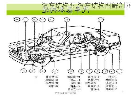 汽车结构图,汽车结构图解剖图