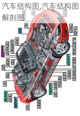 汽车结构图,汽车结构图解剖图