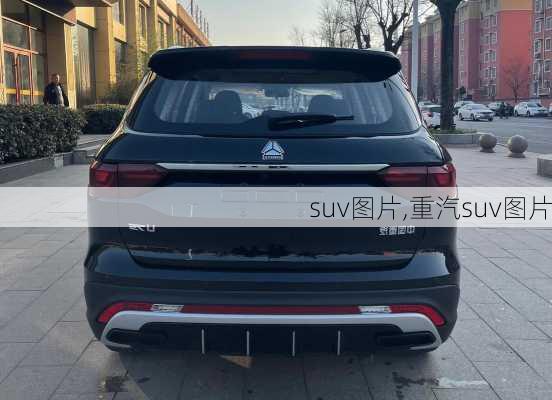 suv图片,重汽suv图片