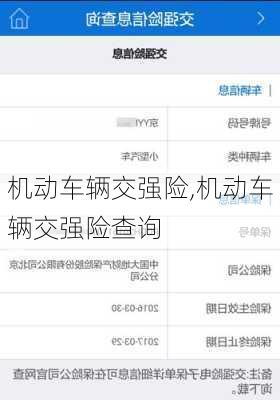 机动车辆交强险,机动车辆交强险查询