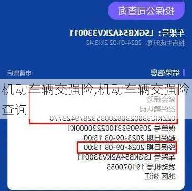 机动车辆交强险,机动车辆交强险查询