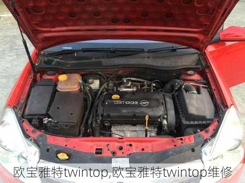 欧宝雅特twintop,欧宝雅特twintop维修