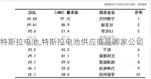 特斯拉电池,特斯拉电池供应商是哪家公司