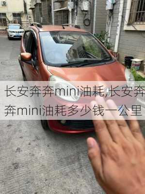 长安奔奔mini油耗,长安奔奔mini油耗多少钱一公里