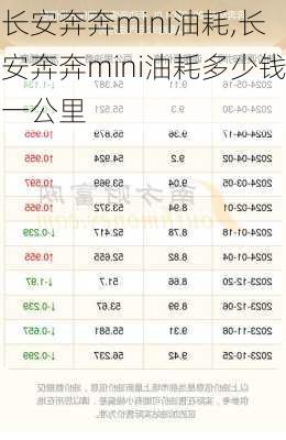 长安奔奔mini油耗,长安奔奔mini油耗多少钱一公里