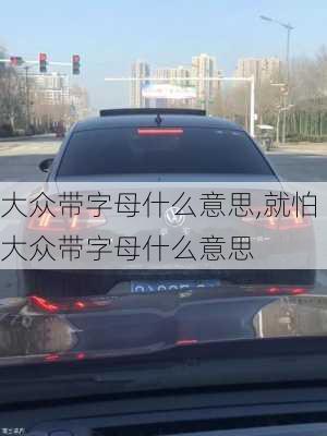 大众带字母什么意思,就怕大众带字母什么意思