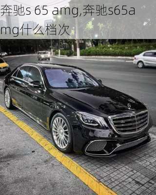 奔驰s 65 amg,奔驰s65amg什么档次