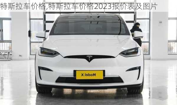 特斯拉车价格,特斯拉车价格2023报价表及图片