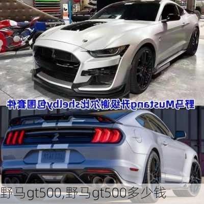 野马gt500,野马gt500多少钱