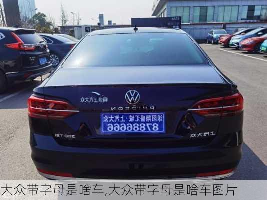 大众带字母是啥车,大众带字母是啥车图片