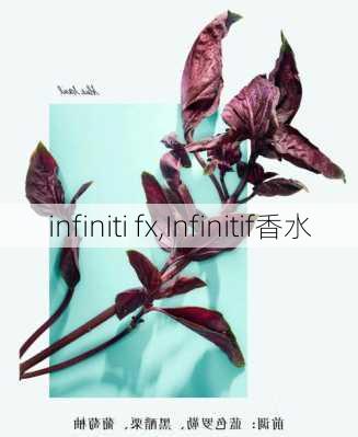 infiniti fx,Infinitif香水