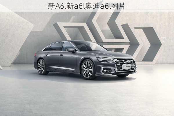 新A6,新a6l奥迪a6l图片