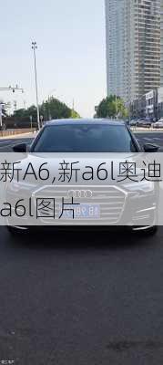 新A6,新a6l奥迪a6l图片