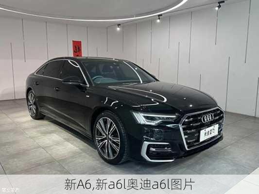 新A6,新a6l奥迪a6l图片