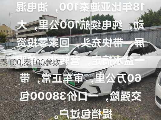 秦100,秦100参数