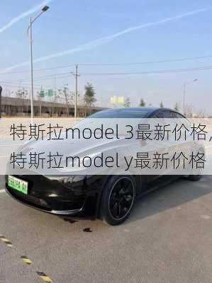 特斯拉model 3最新价格,特斯拉model y最新价格