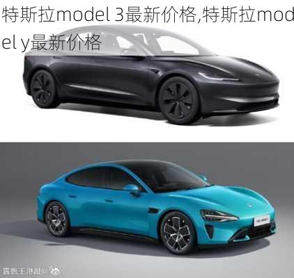 特斯拉model 3最新价格,特斯拉model y最新价格